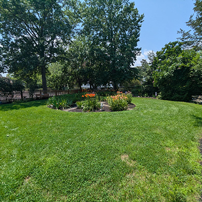 Museum Garden Museum Garden